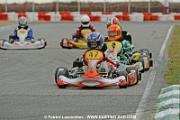 _DSC4390 copie